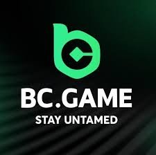 BCStavka Casino Explained A Comprehensive Guide